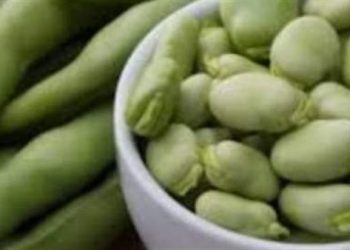 تعرفي على فوائد الفول الأخضر و أضراره