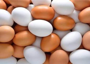 فوائد البيض لأمراض القلب