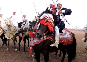 رفع الستار عن  مهرجان أولاد افرج لفن التبوريدة