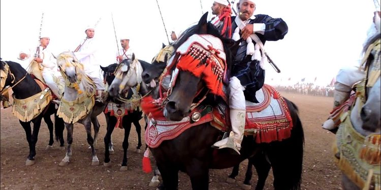رفع الستار عن  مهرجان أولاد افرج لفن التبوريدة