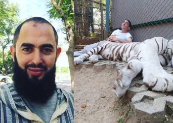 الفقيه رضوان يدخل خط لقاء نعمان لحلو رفقة النمر (صورة)
