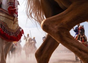 افتتاح معرض “التبوريدة” للمصور الأمريكي ريكي لافيرن مارتن