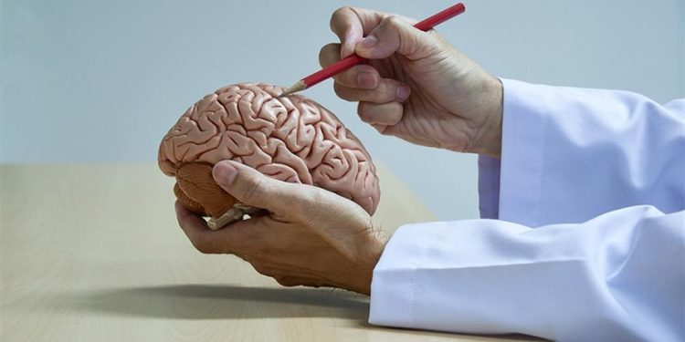 اكتشاف طبي.. يمكن لأدوية الاكتئاب علاج أورام الدماغ
