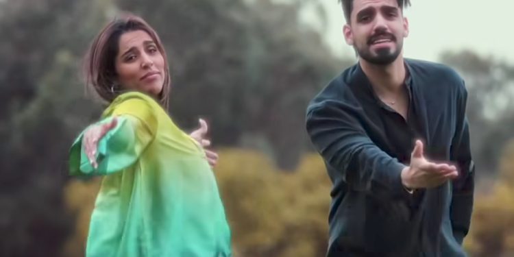 بالفيديو..الإخوة بلمير يشوقان جمهورهما إلى جديدهما الفني