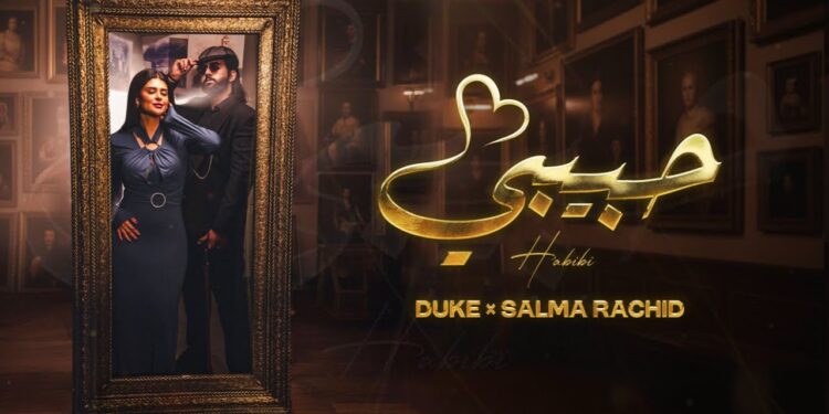 سلمى رشيد تحتفل بنجاح أغنيتها “حبيبي”..14 مليون مشاهدة